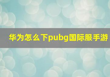 华为怎么下pubg国际服手游