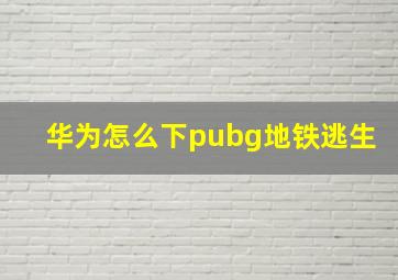 华为怎么下pubg地铁逃生