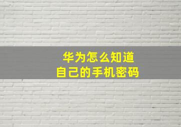 华为怎么知道自己的手机密码