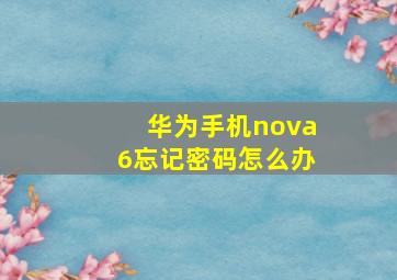 华为手机nova6忘记密码怎么办