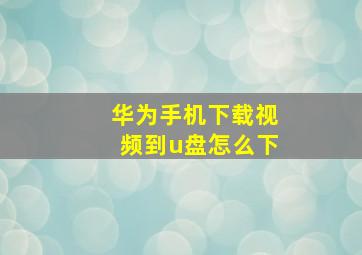 华为手机下载视频到u盘怎么下