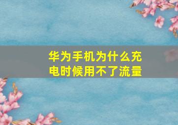 华为手机为什么充电时候用不了流量