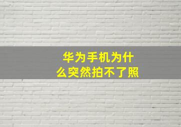 华为手机为什么突然拍不了照