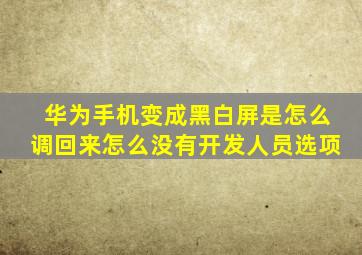 华为手机变成黑白屏是怎么调回来怎么没有开发人员选项