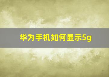 华为手机如何显示5g