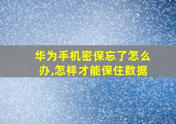 华为手机密保忘了怎么办,怎样才能保住数据