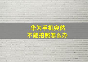 华为手机突然不能拍照怎么办