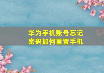 华为手机账号忘记密码如何重置手机