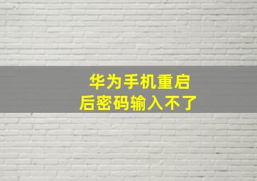 华为手机重启后密码输入不了