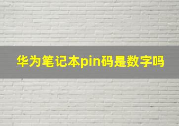 华为笔记本pin码是数字吗