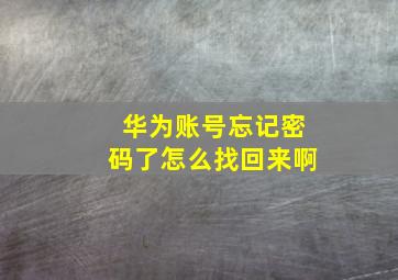 华为账号忘记密码了怎么找回来啊