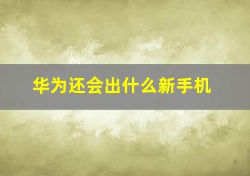 华为还会出什么新手机