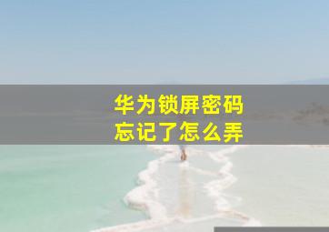 华为锁屏密码忘记了怎么弄