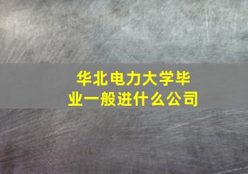 华北电力大学毕业一般进什么公司