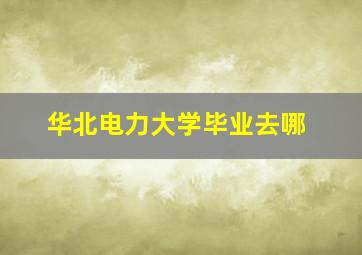 华北电力大学毕业去哪