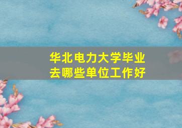 华北电力大学毕业去哪些单位工作好