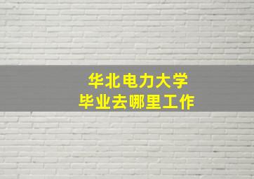 华北电力大学毕业去哪里工作