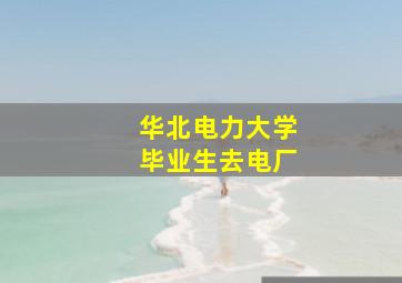 华北电力大学毕业生去电厂