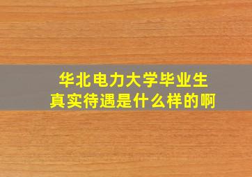 华北电力大学毕业生真实待遇是什么样的啊