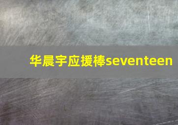 华晨宇应援棒seventeen