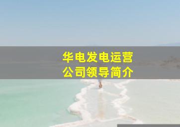 华电发电运营公司领导简介