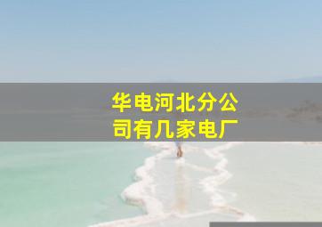 华电河北分公司有几家电厂