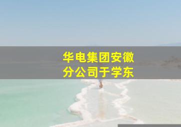 华电集团安徽分公司于学东