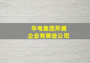 华电集团所属企业有哪些公司