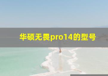 华硕无畏pro14的型号