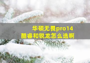 华硕无畏pro14酷睿和锐龙怎么选啊