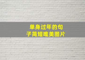 单身过年的句子简短唯美图片