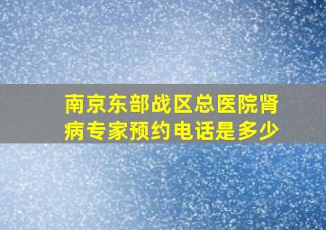 南京东部战区总医院肾病专家预约电话是多少