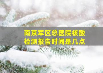 南京军区总医院核酸检测报告时间是几点