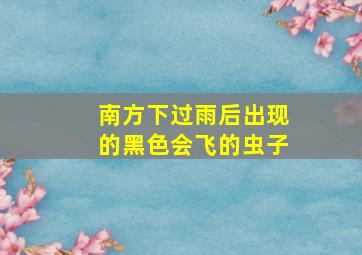 南方下过雨后出现的黑色会飞的虫子