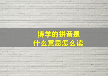 博学的拼音是什么意思怎么读