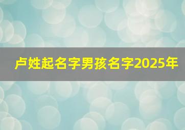 卢姓起名字男孩名字2025年