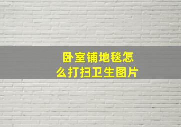 卧室铺地毯怎么打扫卫生图片