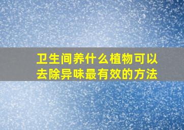 卫生间养什么植物可以去除异味最有效的方法