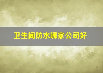 卫生间防水哪家公司好