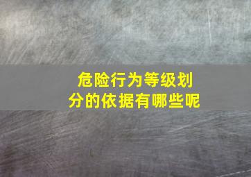 危险行为等级划分的依据有哪些呢