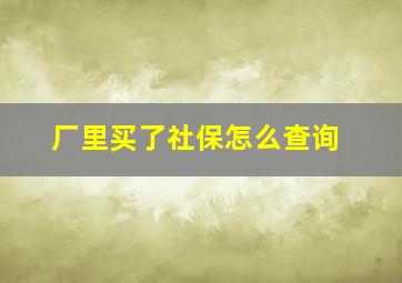 厂里买了社保怎么查询