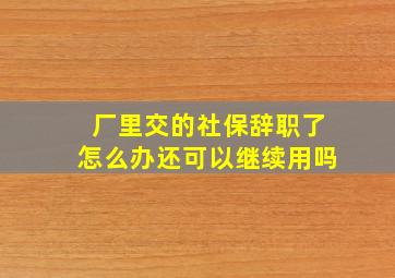 厂里交的社保辞职了怎么办还可以继续用吗