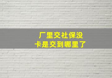 厂里交社保没卡是交到哪里了