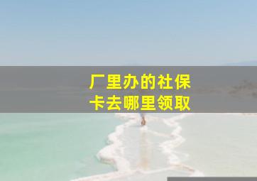 厂里办的社保卡去哪里领取