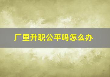 厂里升职公平吗怎么办