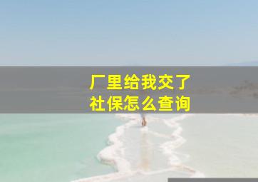 厂里给我交了社保怎么查询