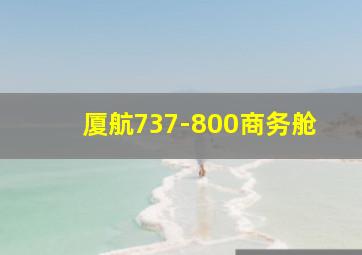 厦航737-800商务舱