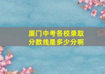 厦门中考各校录取分数线是多少分啊