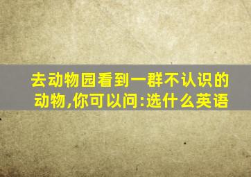 去动物园看到一群不认识的动物,你可以问:选什么英语