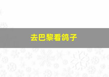 去巴黎看鸽子